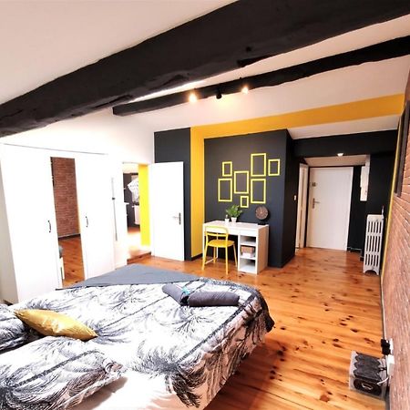 La Terrasse De Jeanne - Vue Magnifique - Netflix Apartment Toulouse Luaran gambar