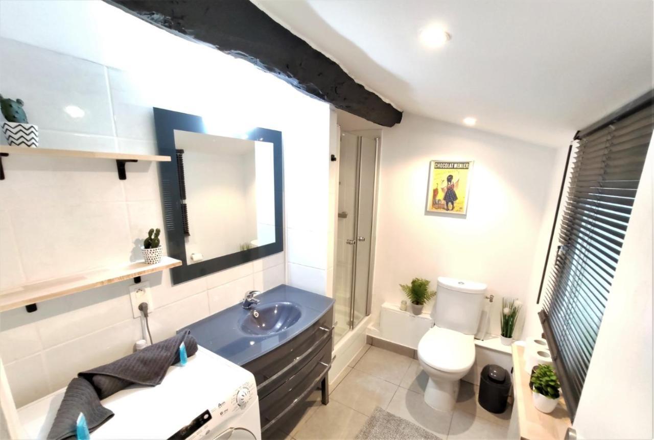 La Terrasse De Jeanne - Vue Magnifique - Netflix Apartment Toulouse Luaran gambar
