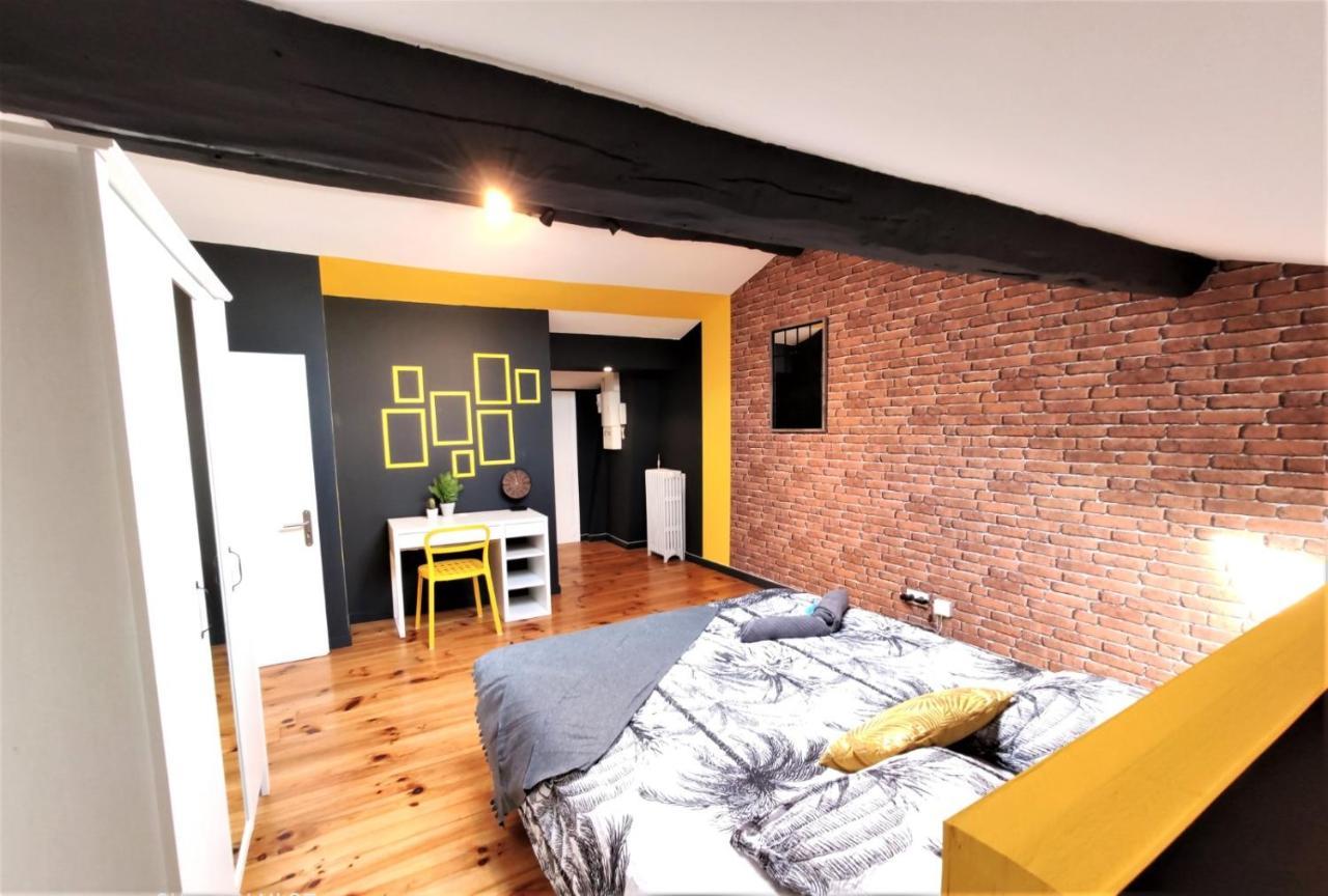 La Terrasse De Jeanne - Vue Magnifique - Netflix Apartment Toulouse Luaran gambar
