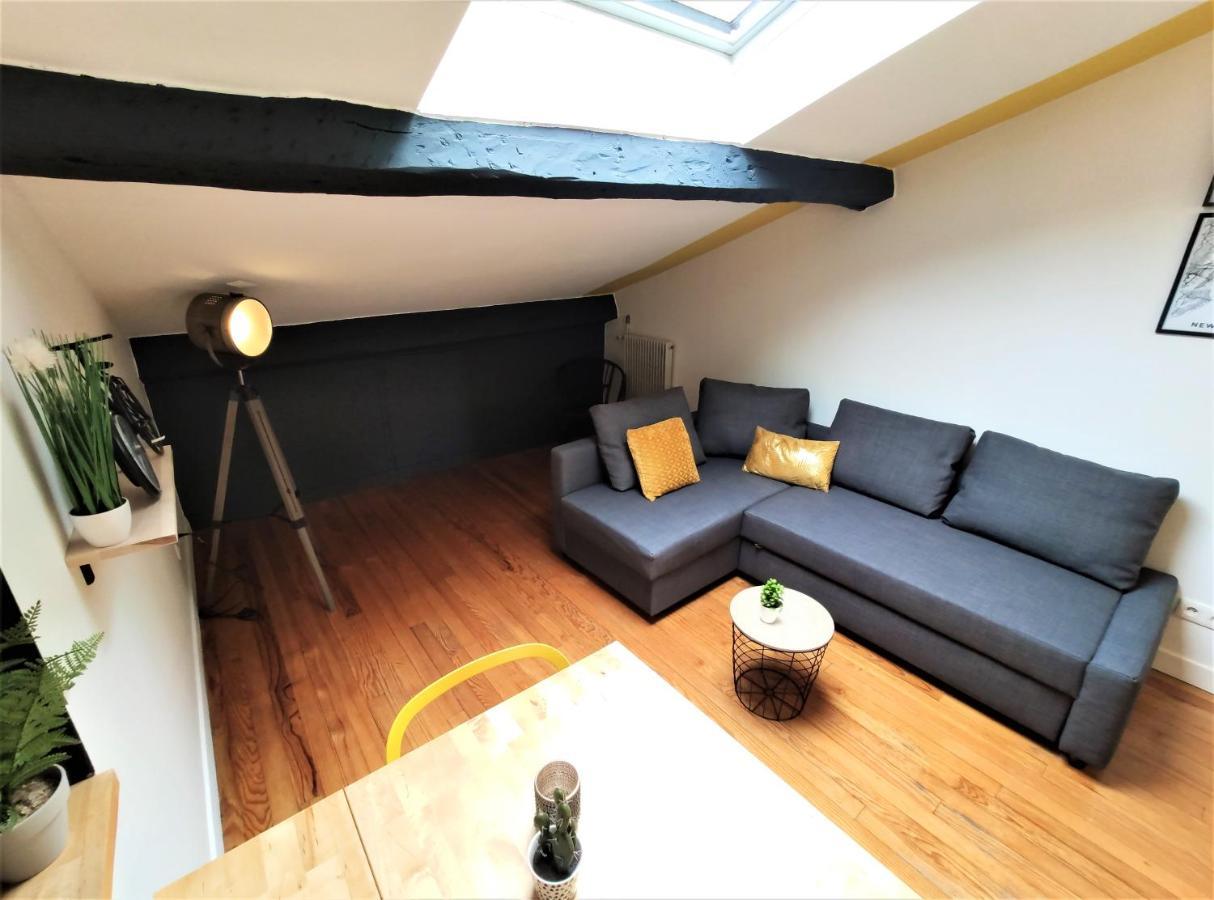 La Terrasse De Jeanne - Vue Magnifique - Netflix Apartment Toulouse Luaran gambar