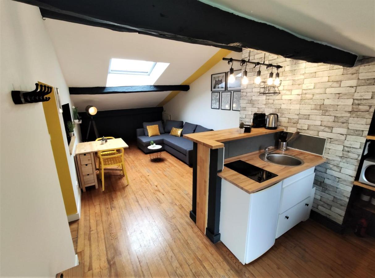 La Terrasse De Jeanne - Vue Magnifique - Netflix Apartment Toulouse Luaran gambar
